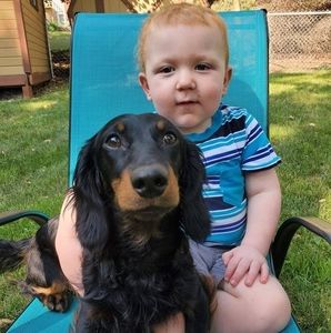 Meet your Posher, Sam